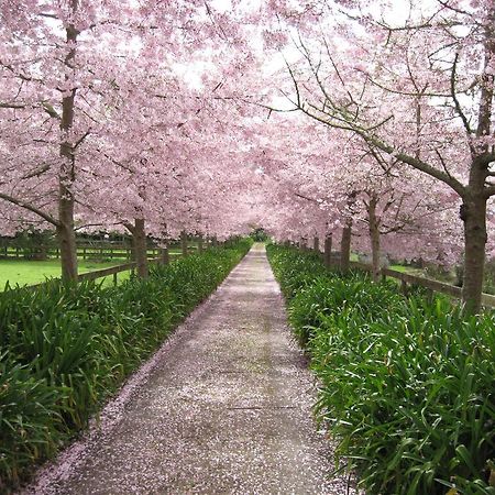 English Cherry Tree Manor Tamahere Ngoại thất bức ảnh