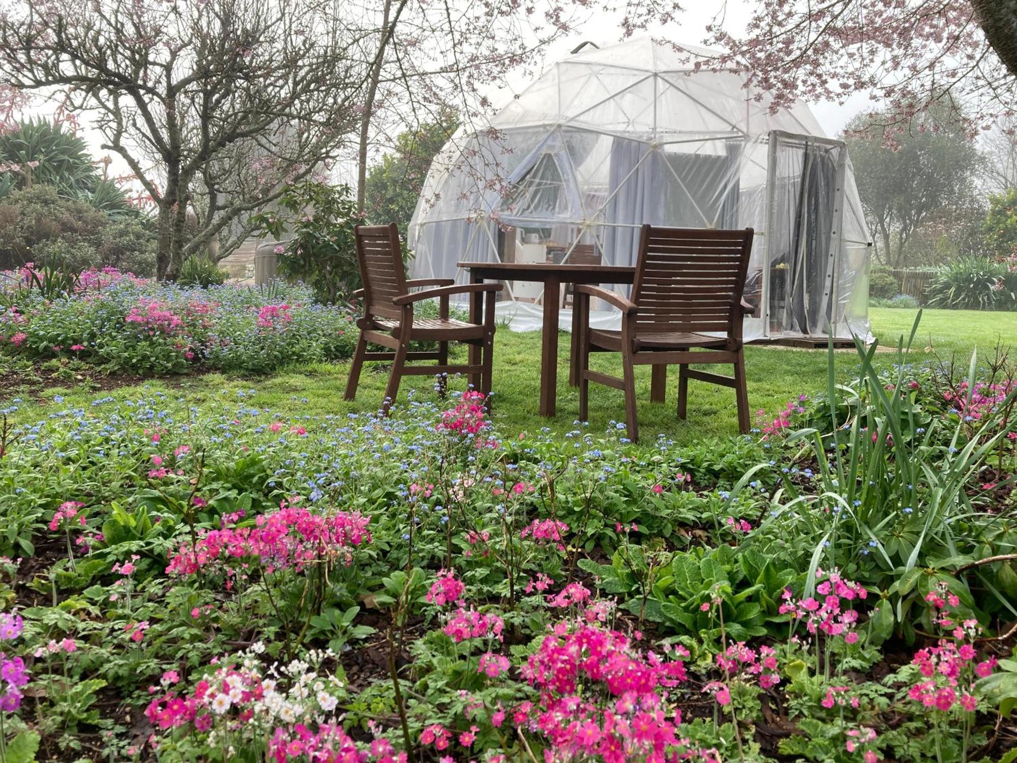 English Cherry Tree Manor Tamahere Ngoại thất bức ảnh