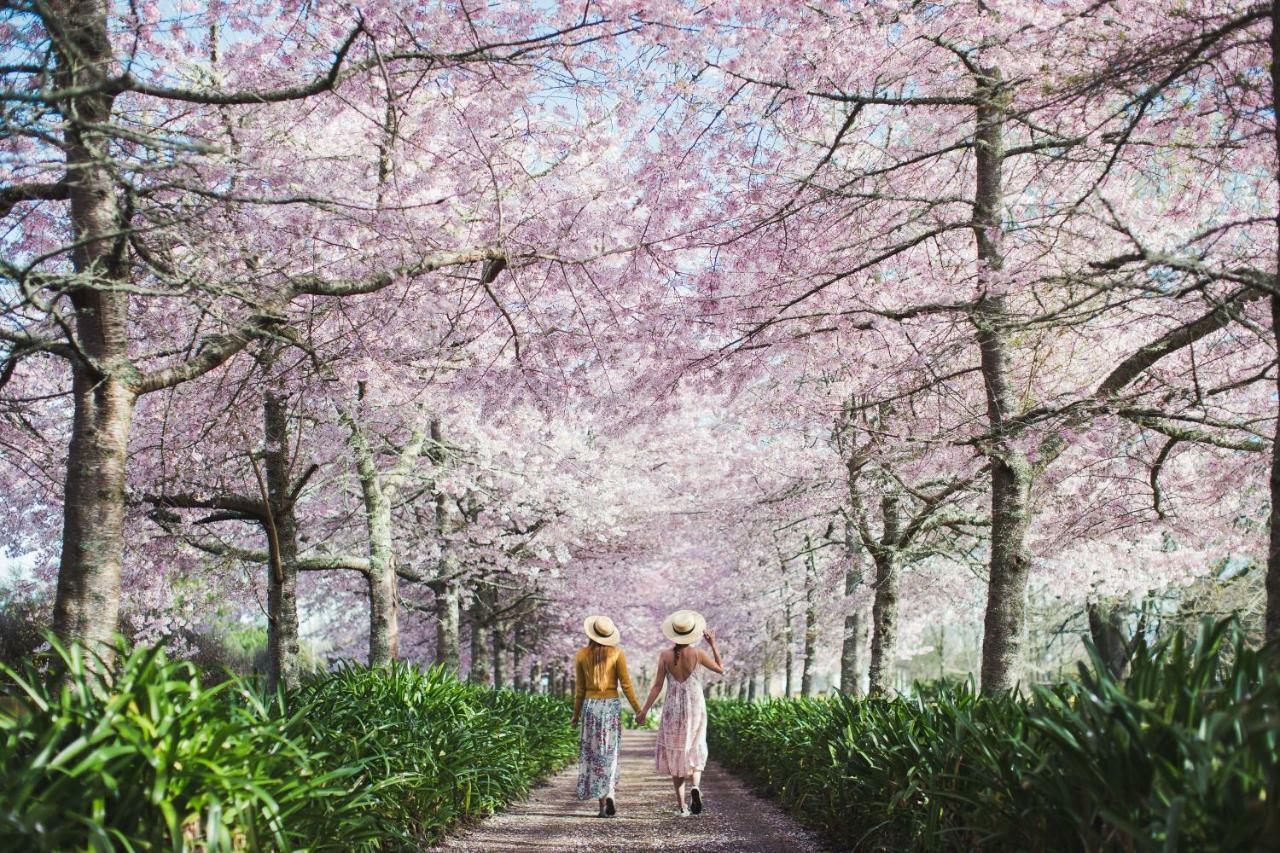 English Cherry Tree Manor Tamahere Ngoại thất bức ảnh